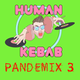 PANDEMIX 3 logo