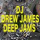 DJ DREW JAMES - DEEP JAMS logo
