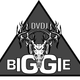 DJ Biggie Summer of 2017 Country Mix logo