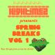 HiGhTiMeZ presents SPRING BREAKS VOL 1 mix (Rare Bollywood Funk, Library Funk, Rock & Reggae Breaks) logo