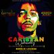 CARRIBEAN REGGAE MIX  EVERY WEDNESDAY AT BENELIX LOUNGE -VIBE SOUNDS ENT - logo