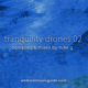 Tranquility Drones 02 mixed by Mike G logo