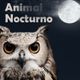 Animal Nocturno 15 de marzo 2018 logo