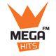 DJ BIG Feat. DJ MG - THE PARTYROCKET RADIOSHOW ON MEGAHITS #4  logo