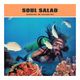 Soul Salad #68 with guest Steven Clancy logo