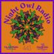 Night Owl Radio 443 ft. Disco Lines and UFO Project logo