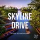 Skyline Drive ~Bless & Lovely Mix 2020~ logo