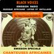 Emission BLACK VOICES Spéciale CHANTEUSES D AFRIQUES des années 70 à aujourd'hui  DECIBEL 10/2015 logo