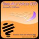 MDB - BEAUTIFUL VOICES 039 (ACOUSTIC CHILL MIX) logo