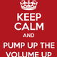 Pump up the volume ! logo