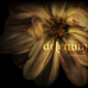 DELERIUM Journey (mixed by DM Andrew) logo