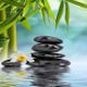 Relaxing Zen Nature Sounds logo