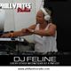 DJ Feline - deep & slinky mix for Phillynites radio April 2016 logo