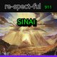 Re-spect-ful SINAI logo