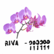 Noisey Mix: 000000 - 111111 by RIVA logo