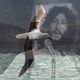 Fleetwood Mac; Albatross (Blend) by Keith Fullerton Whitman @ The Lot Radio 07-27-2020 logo