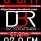 DJ Shakez, Diverse Beatz Radio Show 4 logo