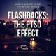 Flash Backs: The P.T.S.D Effect Mixed And Compiled By DJ Ausar logo