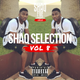 @SHAQFIVEDJ - Shaq Selection Vol.8 logo
