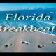 Old School Florida Breaks (DJ FD) logo
