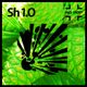 SHISHOVKA 1.0 logo