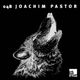 SVT–Podcast048 - Joachim Pastor logo