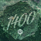 Avtomat - 1400 Pleśni (mixtape) logo