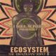 DJ Soul Slinger Presents: Ecosystem - The Brazilian Joint (2003) logo