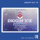 DJ Muro Diggin' Ice '99 logo
