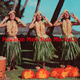 Hawaiian Mele Hula Mix Vol.2 logo