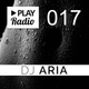 PLAY Radio 017 with DJ ARIA - Top 40 Workout Beats logo