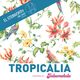 Tropicália - El Steinvorth - 28 Febrero 2015 - Segunda parte logo