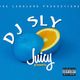 Juicy presents DJ SLY Feat. Ashanti, Fabolous, Mase, Brandy, Ja Rule, Rhianna, Brian Mcknight, Total logo