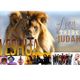 Yeshua, the lion of Judah logo