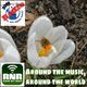 Around the music-around the world 06-03-2014 Rimini Net Radio logo