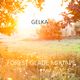 Gelka - Forest Glade Mixtape logo