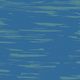 Chris Kissel – Contact Wave w/guest Atlantic Rhythms (05.03.20) logo