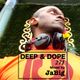 Summer Fun Party House Music Mix by JaBig - DEEP & DOPE 271 logo