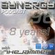 The Jammer - Synergy 2014 Podcast 09 - 8 Years of Monthly Radio Show [Episode 96 - DI.FM] logo