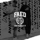 FAED University Episode 53 - 04.17.19 logo