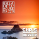 Ibiza Deep House Mix 2019 by Chris Buzzer logo