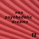 Neo Psychedelic Dreams 13 logo