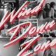 Soul Cool Records Wind Down Zone Vol 1 logo