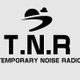 Temporary Noise Radio Unsigned & Indpendent Artist Show 12/09/13 logo