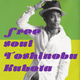 Free soul Toshinobu Kubota logo