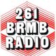 John Lydon on BRMB Radio, Birmingham, The Rock Music Show with Robin Valk, July 26th 1979 logo