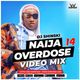 Naija Overdose Mix 14 [Cough, Rush, Asiwaju, Asake, Burna Boy, Kizz Daniel, Ruger, Ku Lo Sa, Rema] logo
