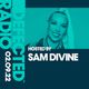 Defected Radio Show Hosted by Sam Divine - 02.09.22 logo