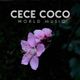 DJ Set 22.02.2020 to Play Emotions Italian Radio by Cece Coco logo