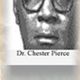 Hostile Environments and Microaggressions with Dr. Chester Pierce logo